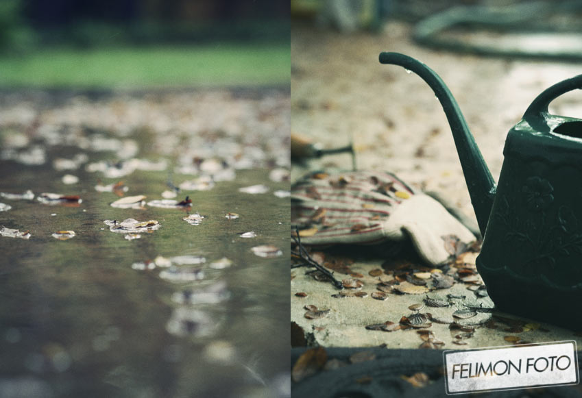 rainlove