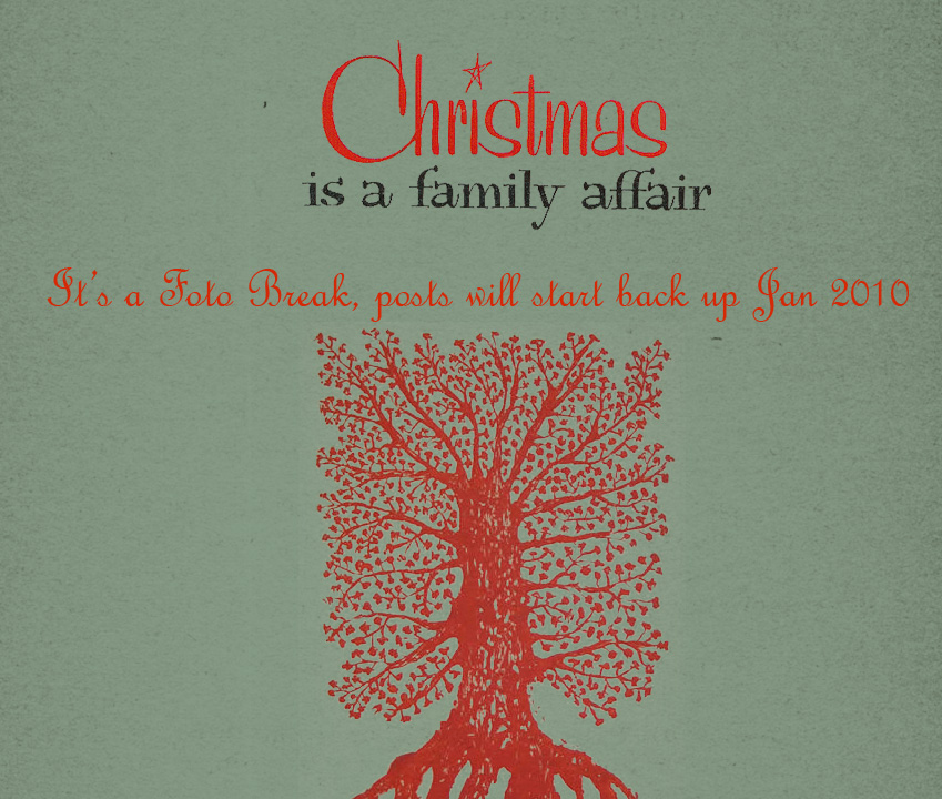 christmasfelimonfoto