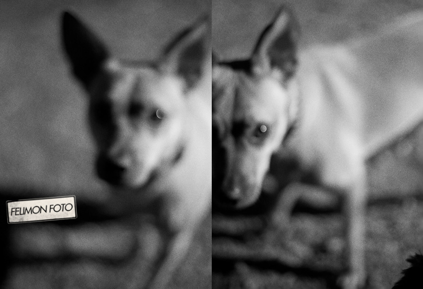 felimonfoto